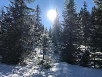 Casa de 3 dormitorios