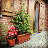 Bed & Breakfast Il mio Gelso - B&B Villanova d'Asti