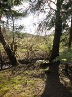 Ferienwohnung Wandervogel - B&B Braunlage