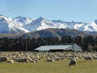 Fox Cottage - Bed and Breakfast Ashwick Flat