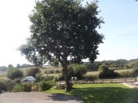 Cripple Creek Bed And Breakfast - B&B Rowlands Castle