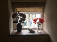 Ship inn - B&B