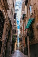 Lemon Tree Terrace - B&B Napoli