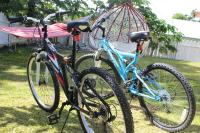 Yogi-Homestay - B&B Koror