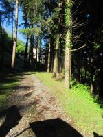 Agriturismo Madonna Dei Ceppi - Bed and Breakfast Lezzeno