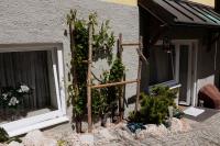 Ferienwohnung Stangassinger - B&B