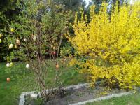 Brockenferien - B&B Bad Harzburg