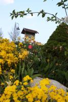 Agritur Cristina - B&B Coredo