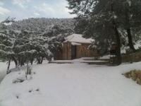 Studio Chalet