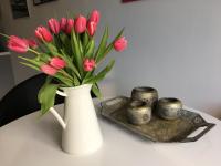 Stilvolles Appartement in den Bergen um Dresden - Erholen Garantiert! - B&B Dresda