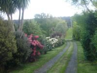 Two-Bedroom Cottage with Private Bathroom - The Bottom House