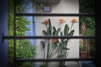 Standaard Appartement