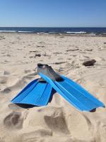 Appartement met Uitzicht op de Bossen