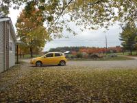 Bear & Butterfly Bed and Breakfast - B&B Gravenhurst