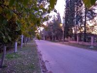 Alojamiento Cuchi Corral - B&B San Luis