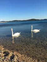 Apartment Patricia - Bed and Breakfast Vodice