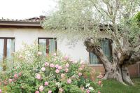 Agriturismo Il Granaio Hotel & SPA - Ferienwohnung