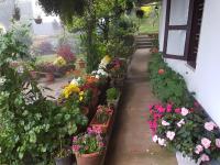 Rheinberg Town Haus - B&B Munnar