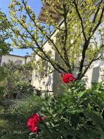 Stadtoase Koblenz - Ferienwohnung Koblenz