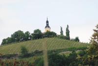 Haus Renarth - Michaela Pro - B&B Kitzeck im Sausal