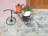 Casa Darius - B&B Novaci