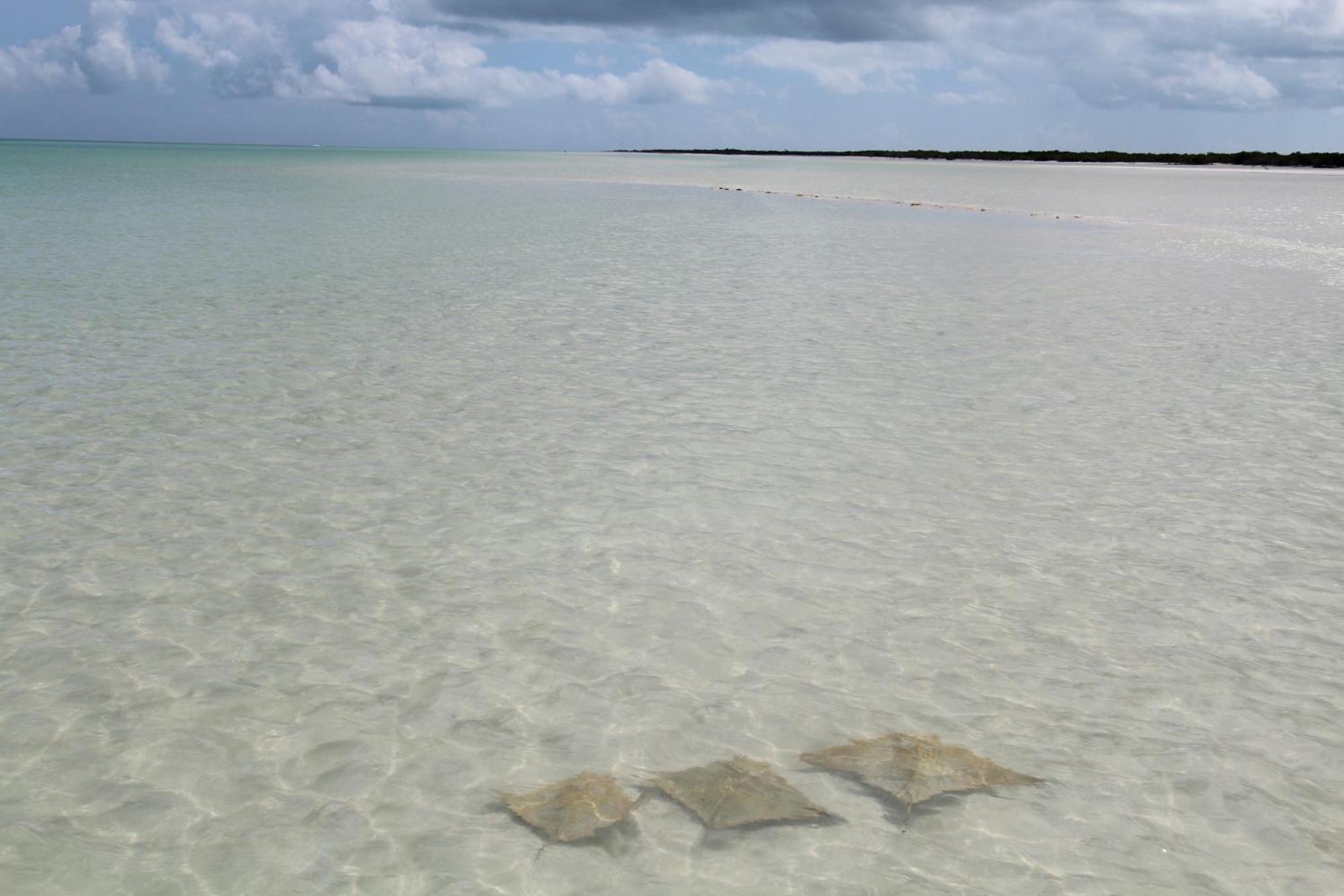 Tekio Beach Hotel, imagen 4