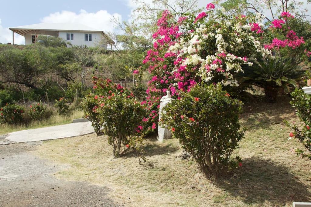 Appartement Vacances Goyave, foto 7