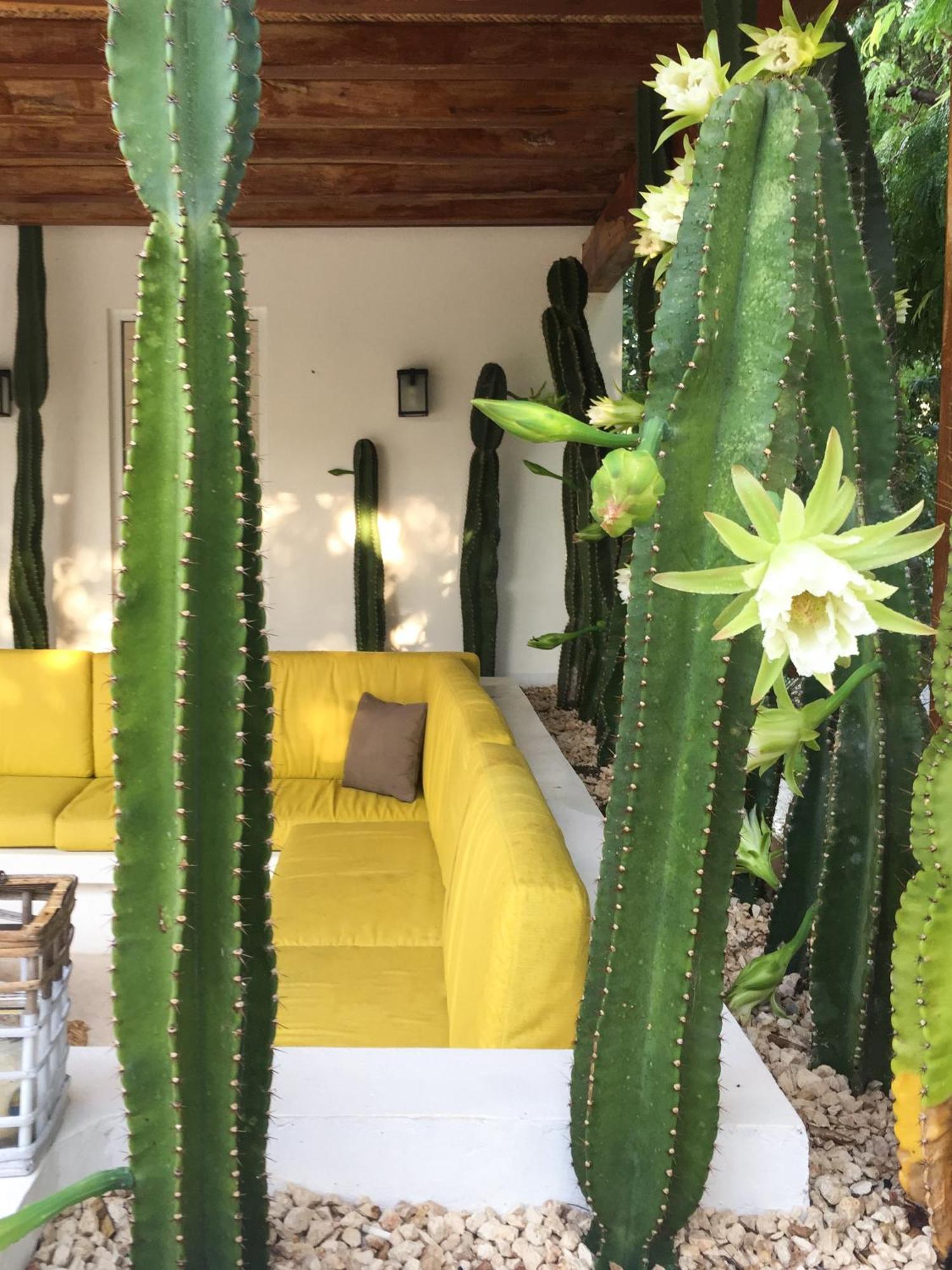 Luxury Private Villas , Private Pool, Private garden, Jacuzzi, 24hours security, foto 7