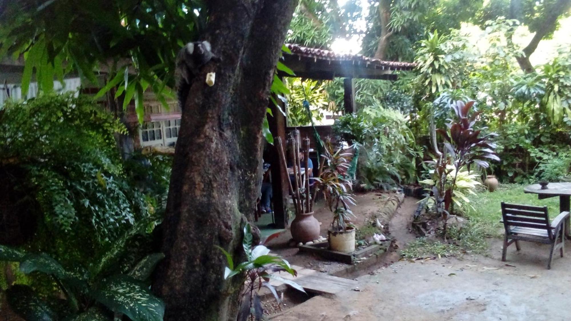 Casa de Temporada das Mangueiras — foto 5