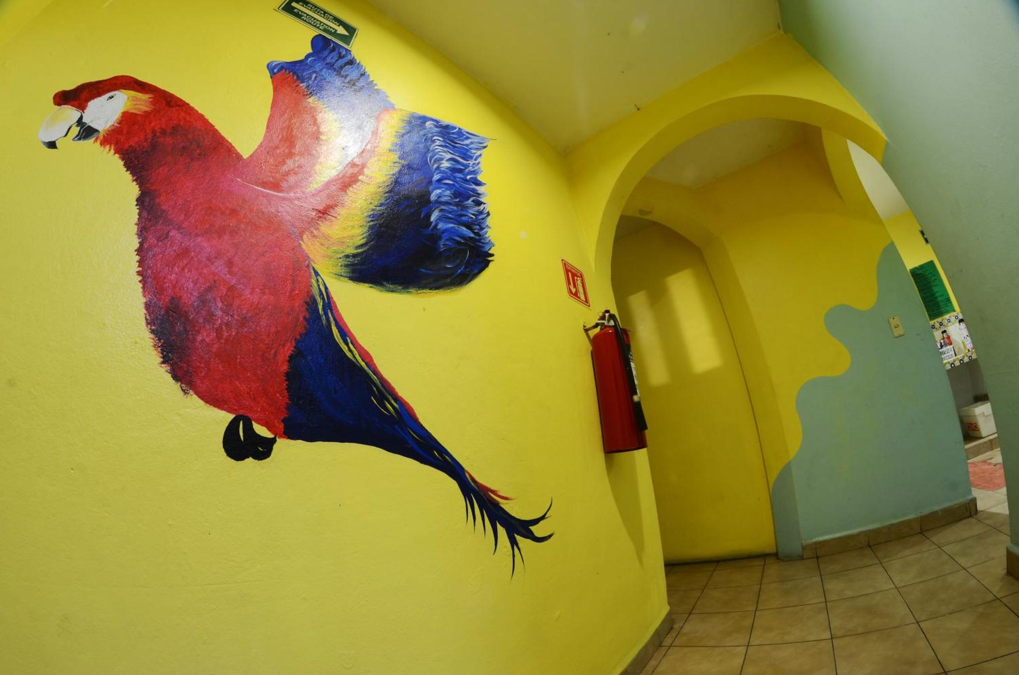 Tres Mundos Hostel, foto 13