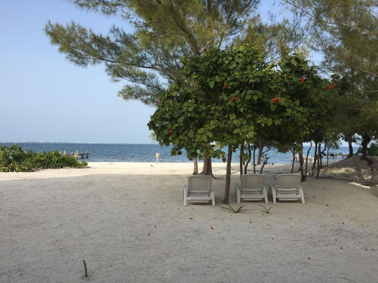 Sea by C Apartments, foto 15