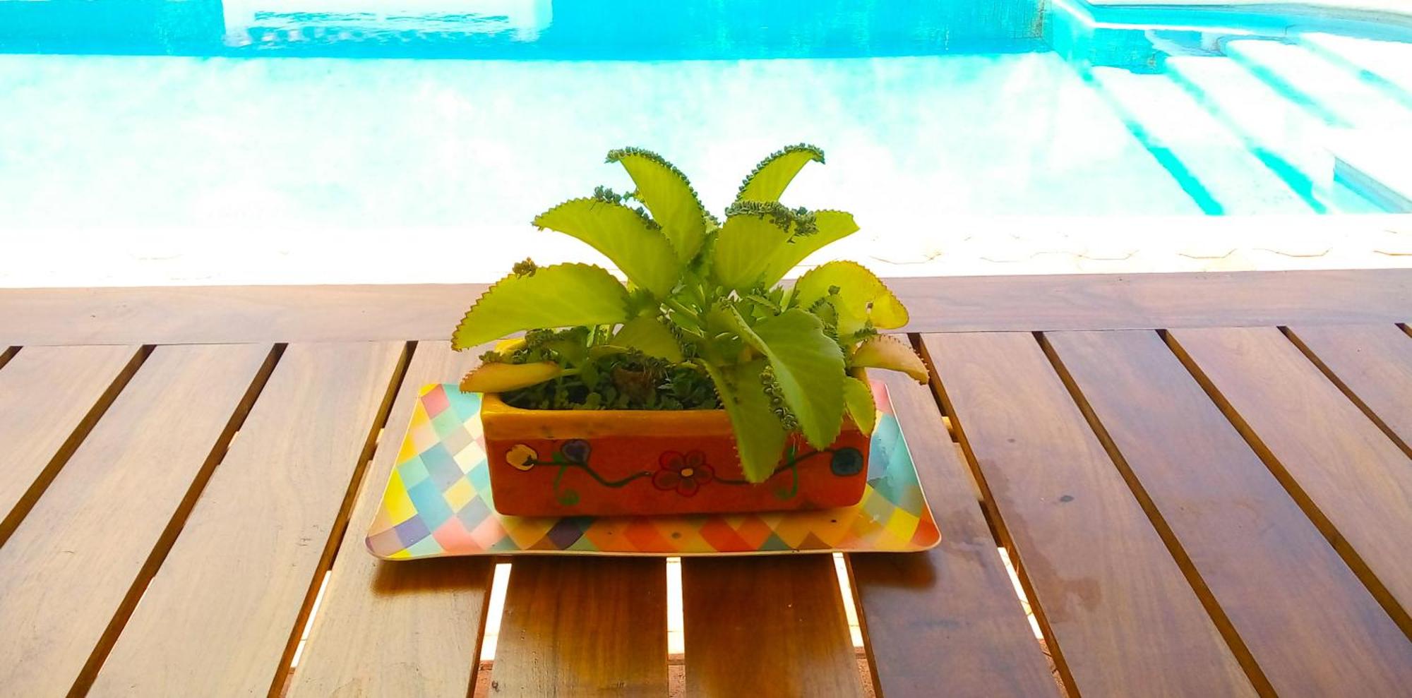 Casas Luna y Sol - Casa Sol, foto 7