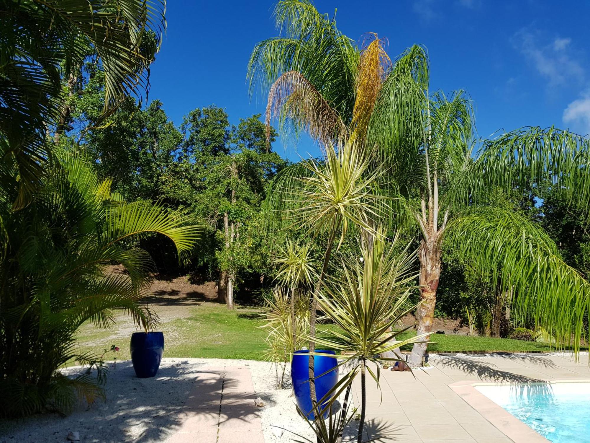Blue Paradise, foto 10