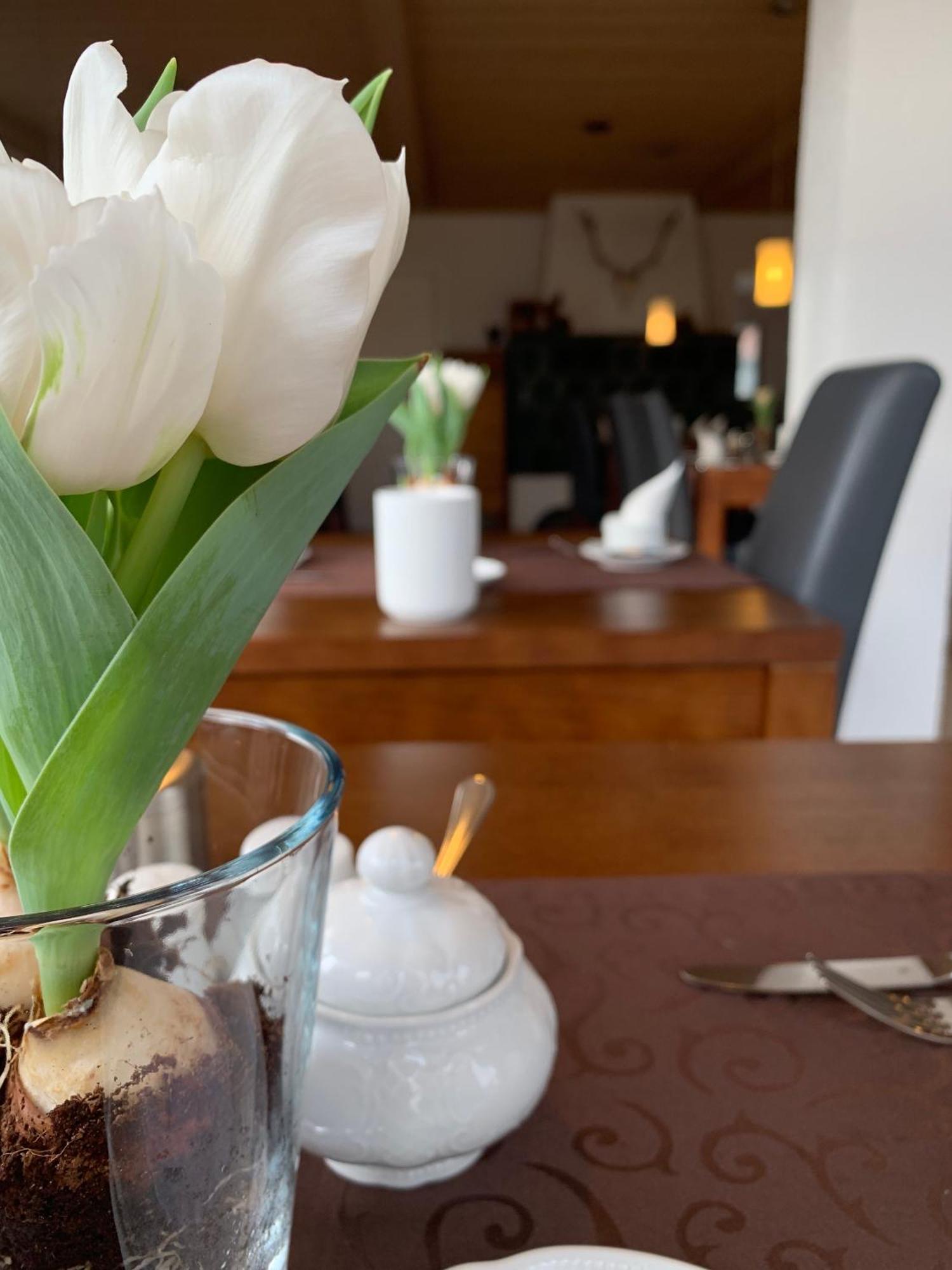 Hotel Palko — foto 5