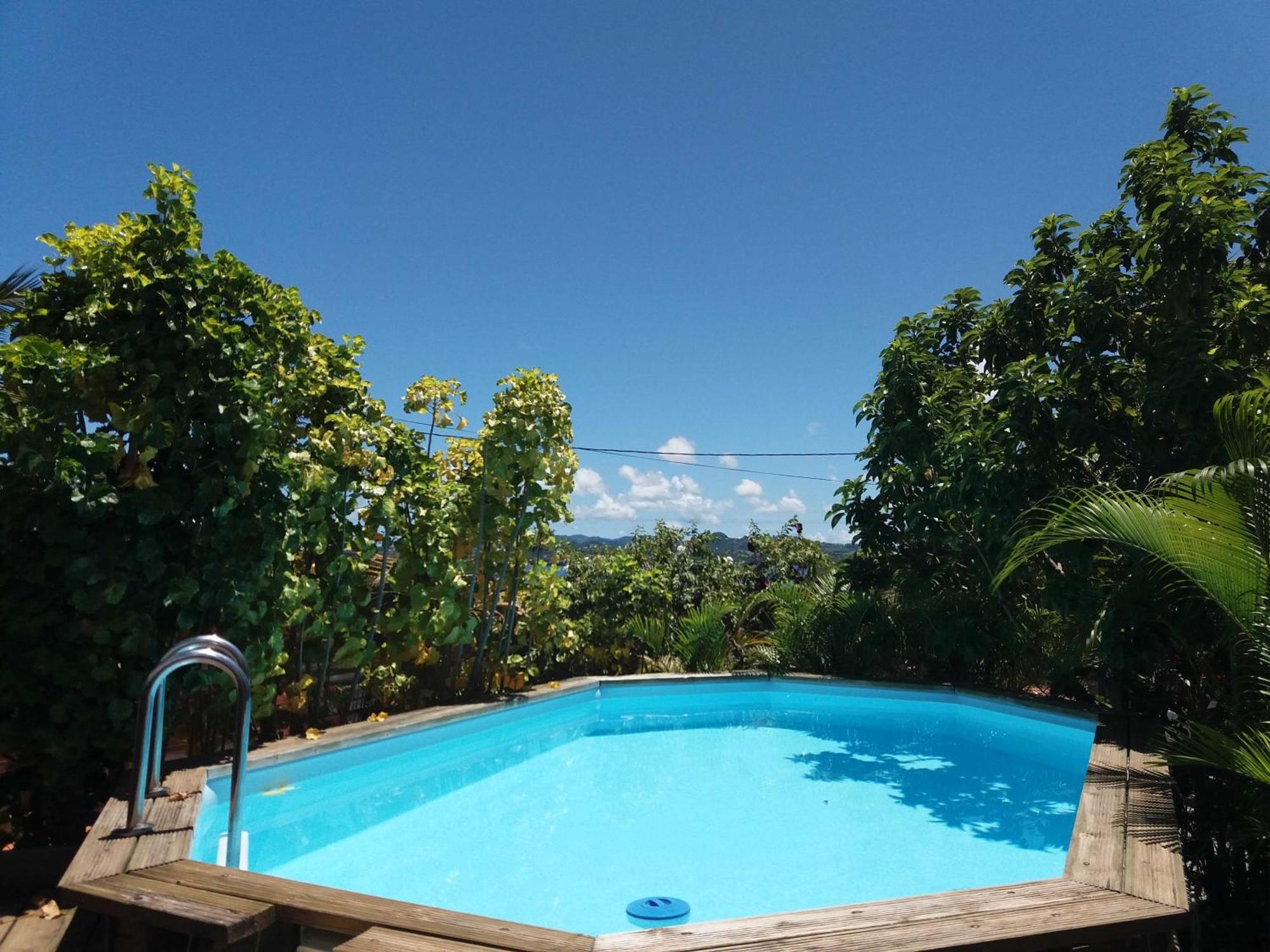 Charmant F2 classé, belle vue mer, spa, piscine, imagen 5