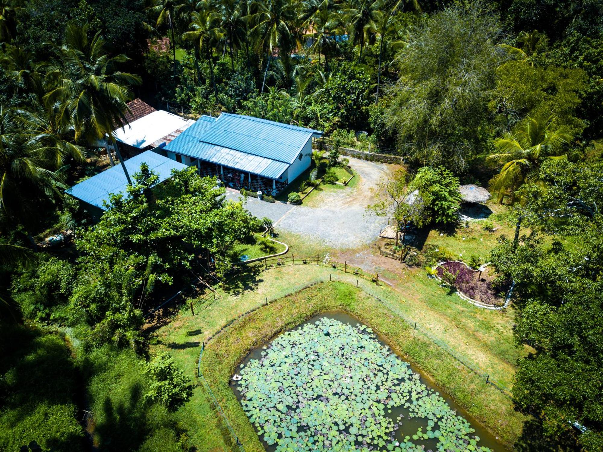 Avian Garden Udawalawe