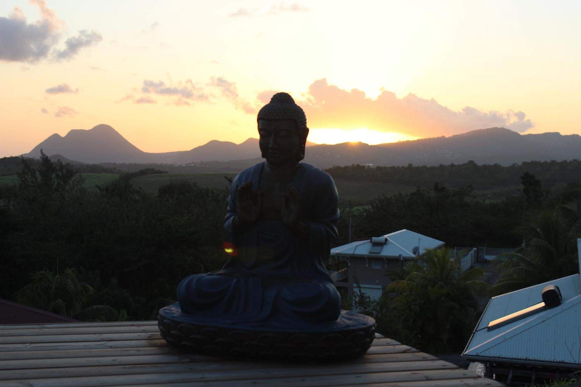 Buddha Bleu, imagen 3
