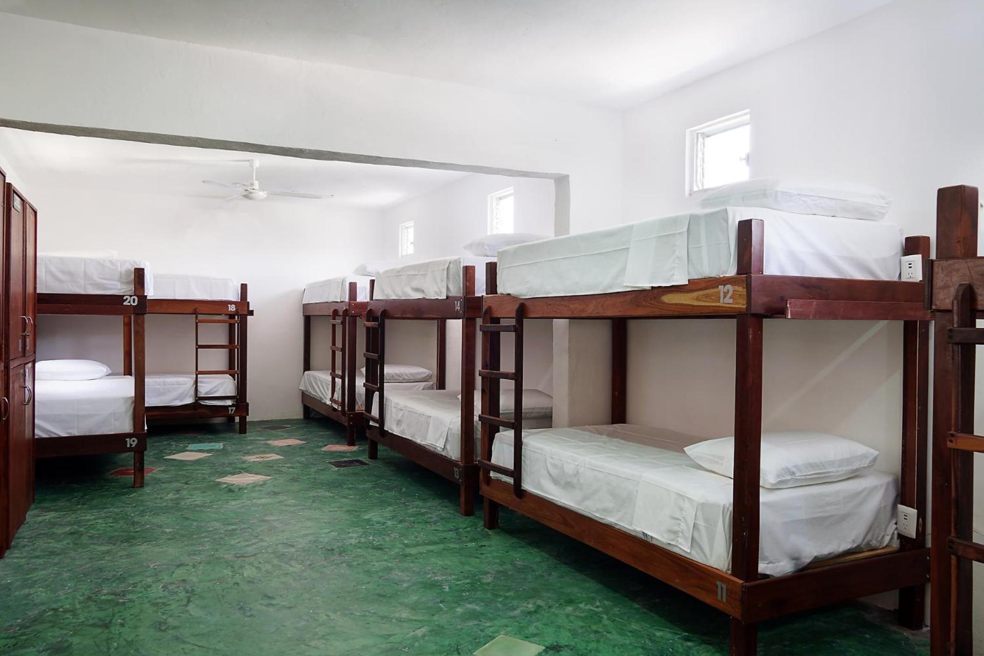 Red Panda Hostal, imagen 2