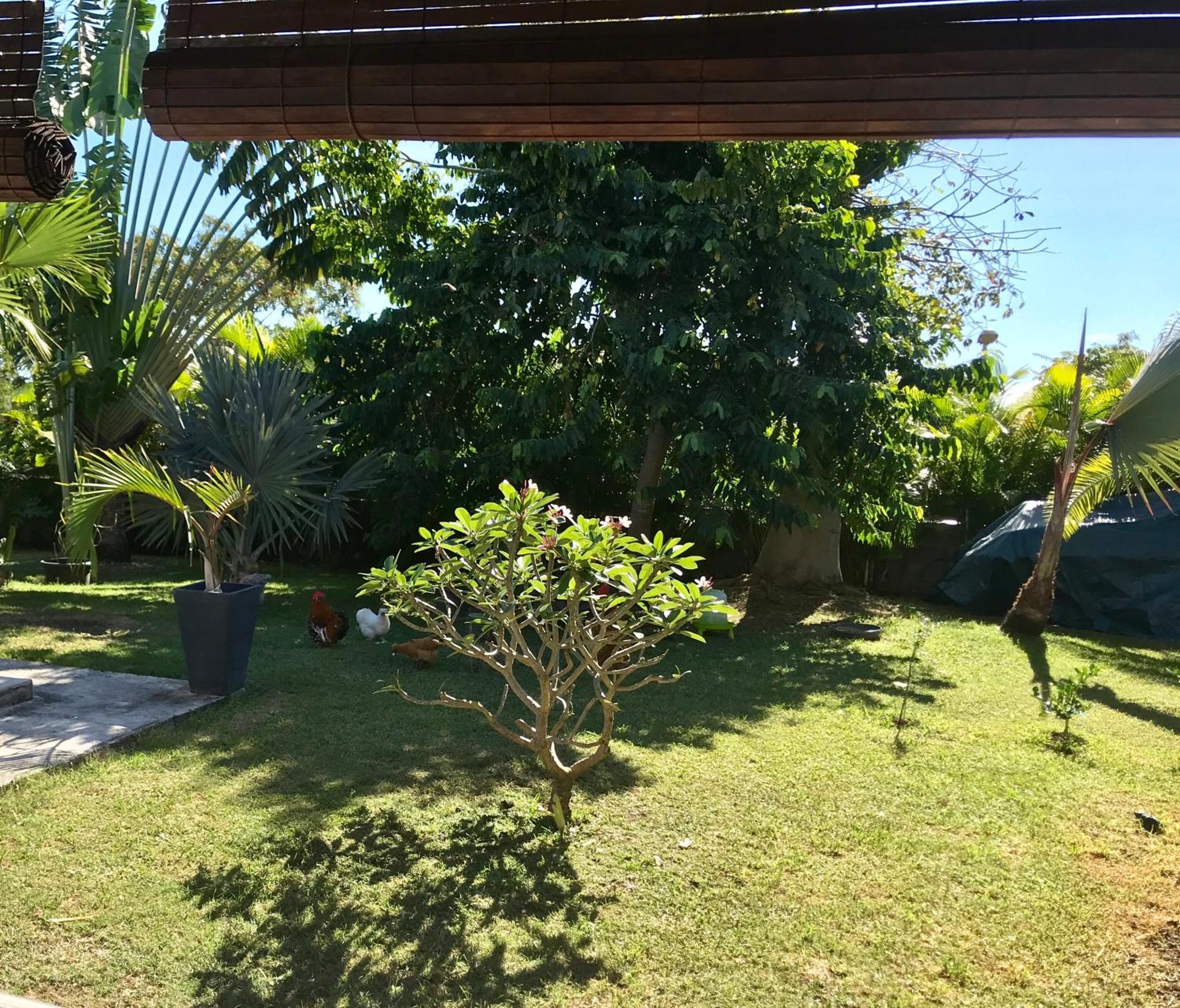 Villa Saphir B & B, foto 16