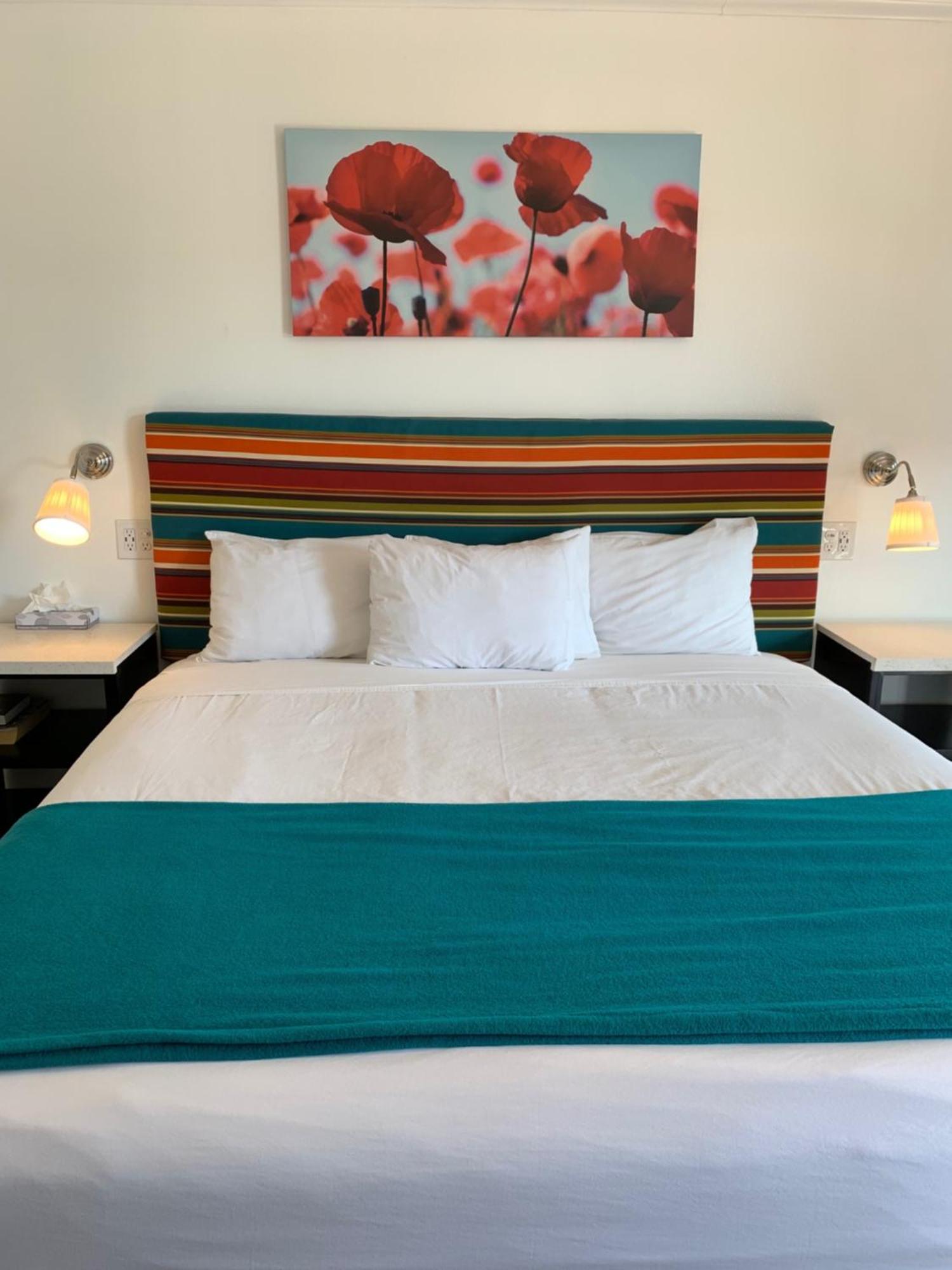Sandyland Reef Inn — foto 3