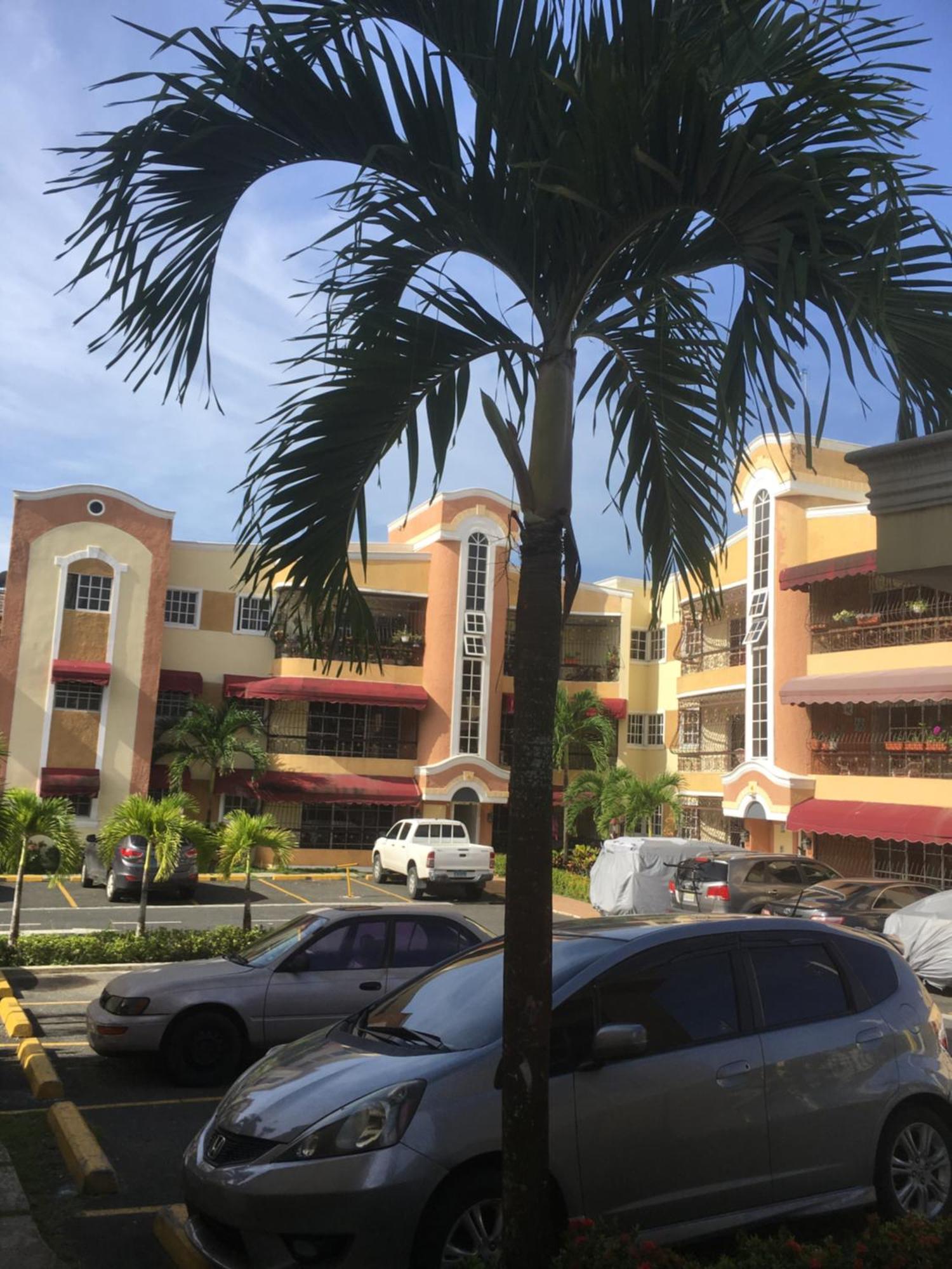 1Dom Rep - Huge cozy 3 bedrooms - close to all transportation Jacobo Majluta - Residencial Paradise V Colina Arroyo 1, imagen 5