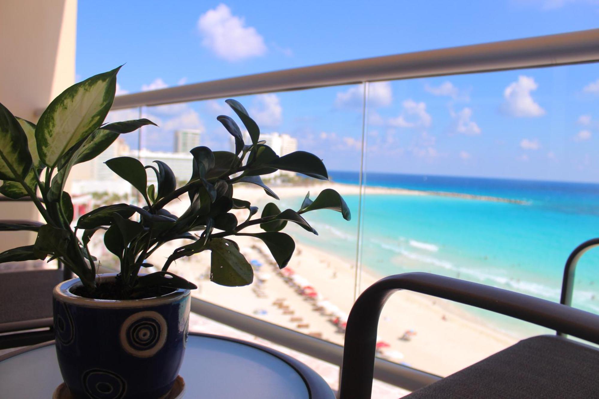 Oceanside Studio - Stunning Views, Ideal Location, imagen 3