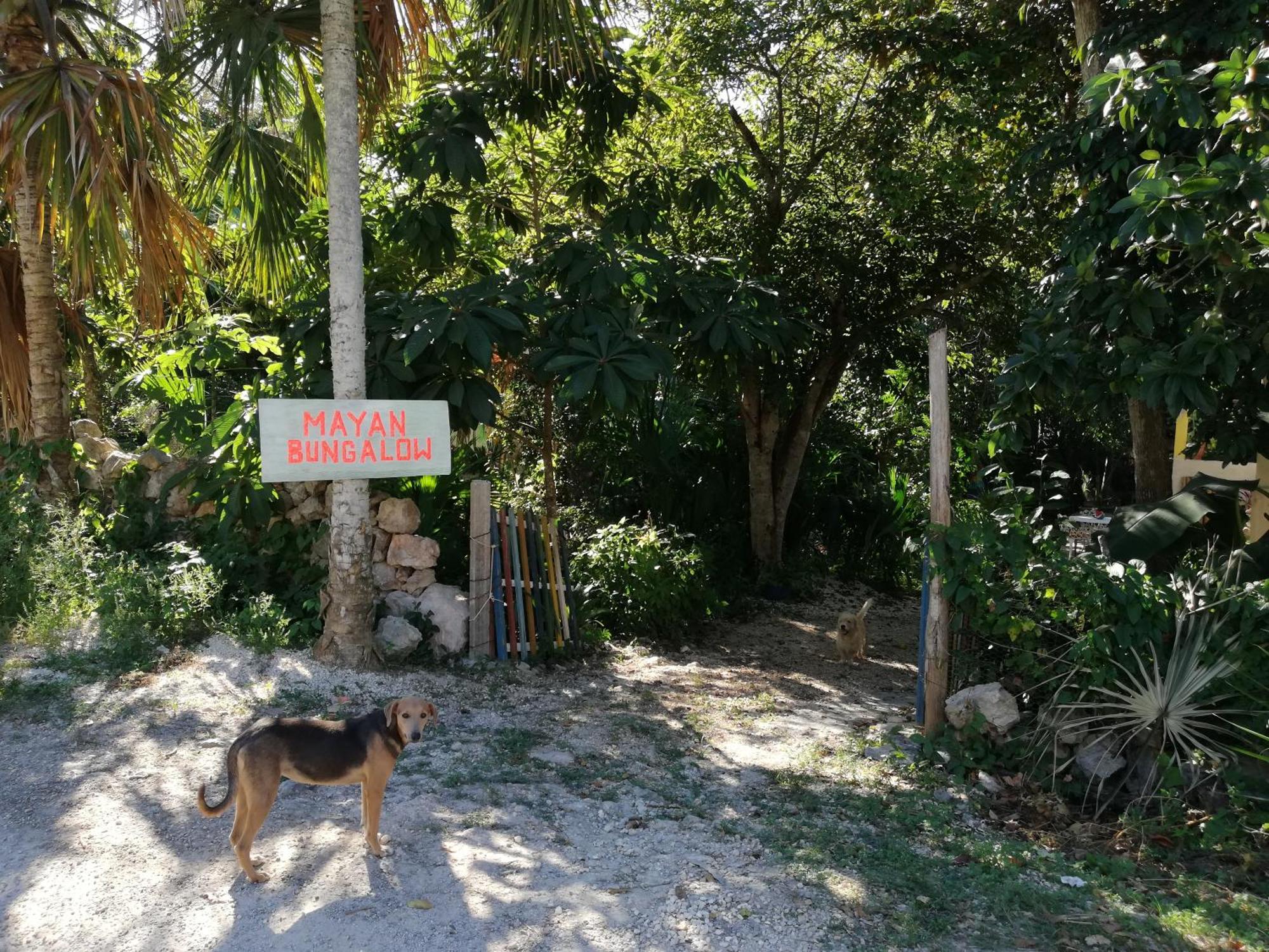 Mayan Bungalow Near Chichén, foto 6