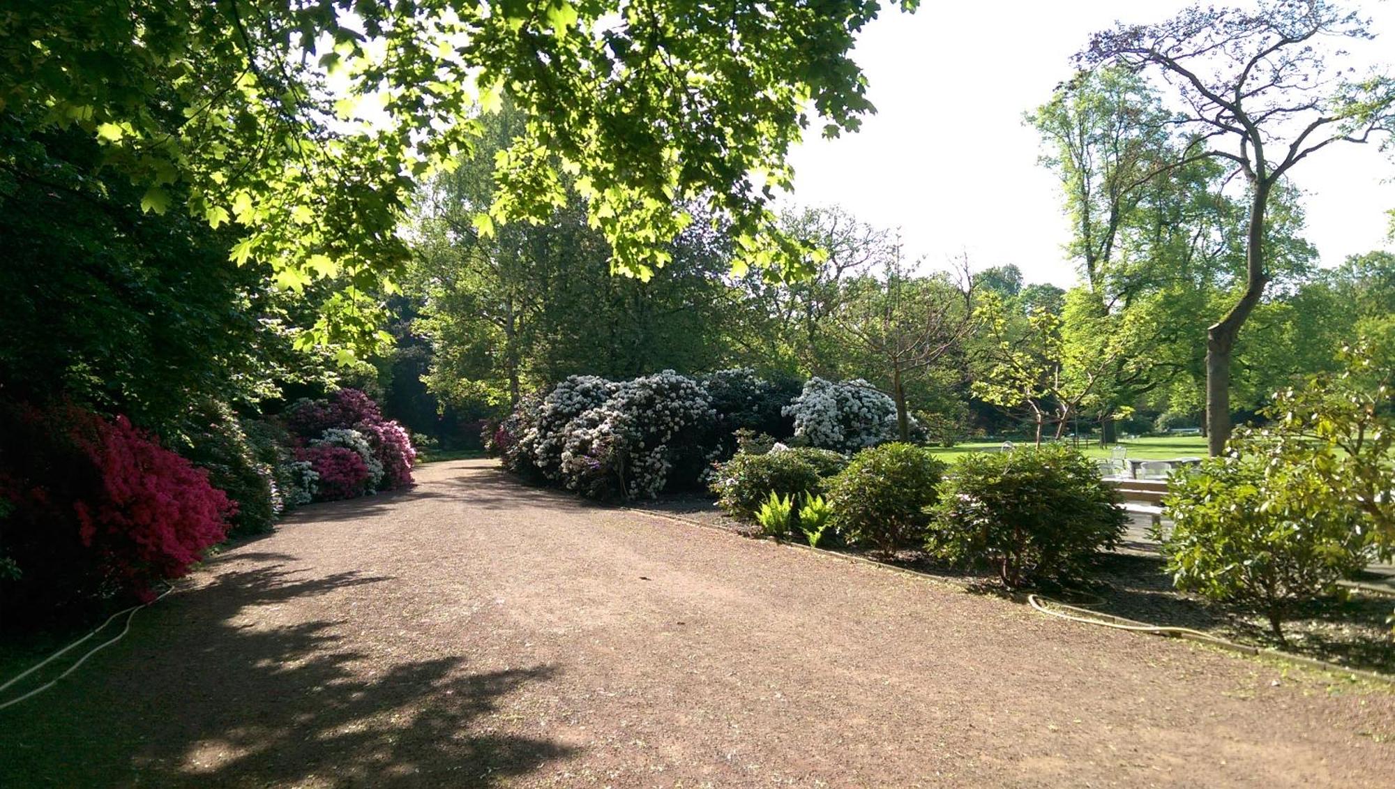 Congress Hotel am Stadtpark — photo 4