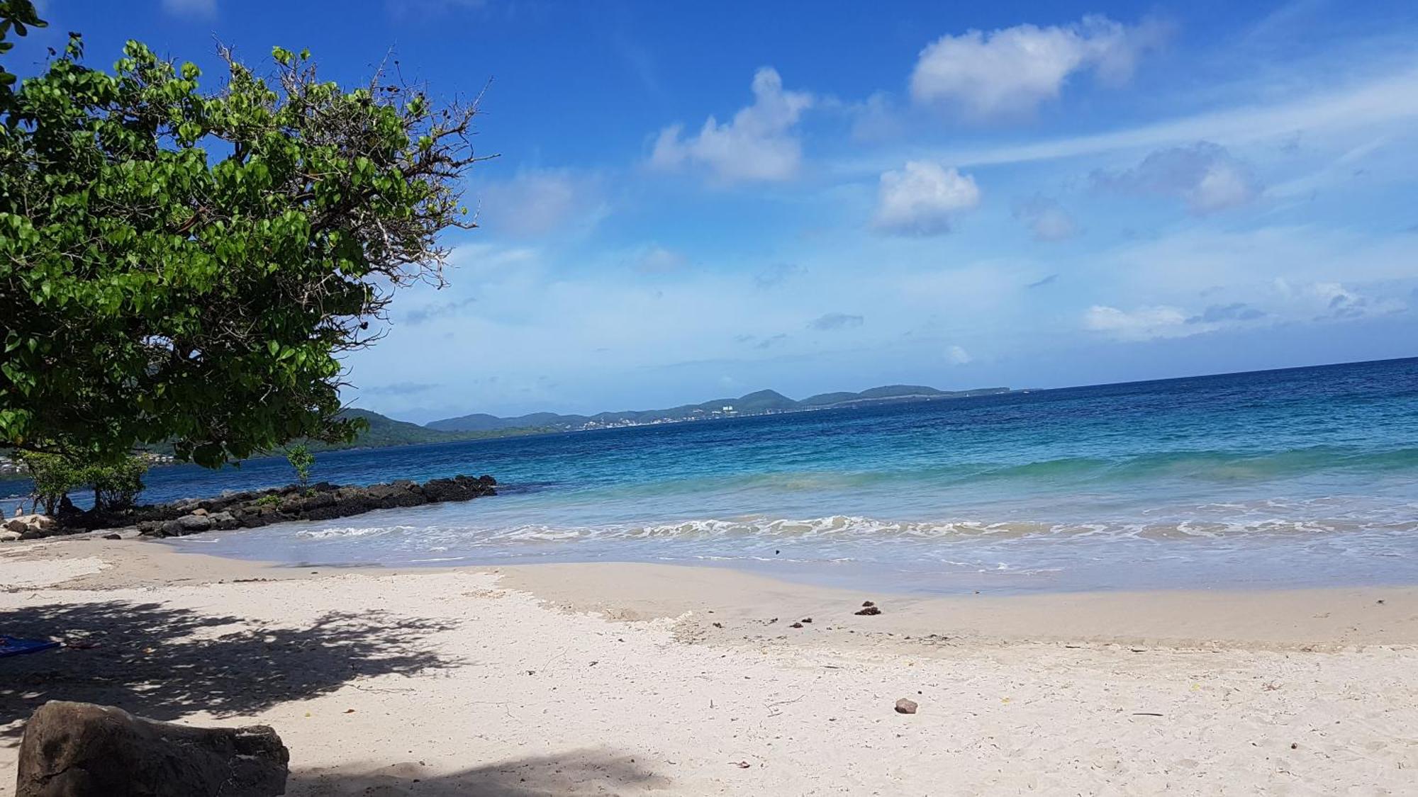 Roy'al Beach Holidays, imagen 3
