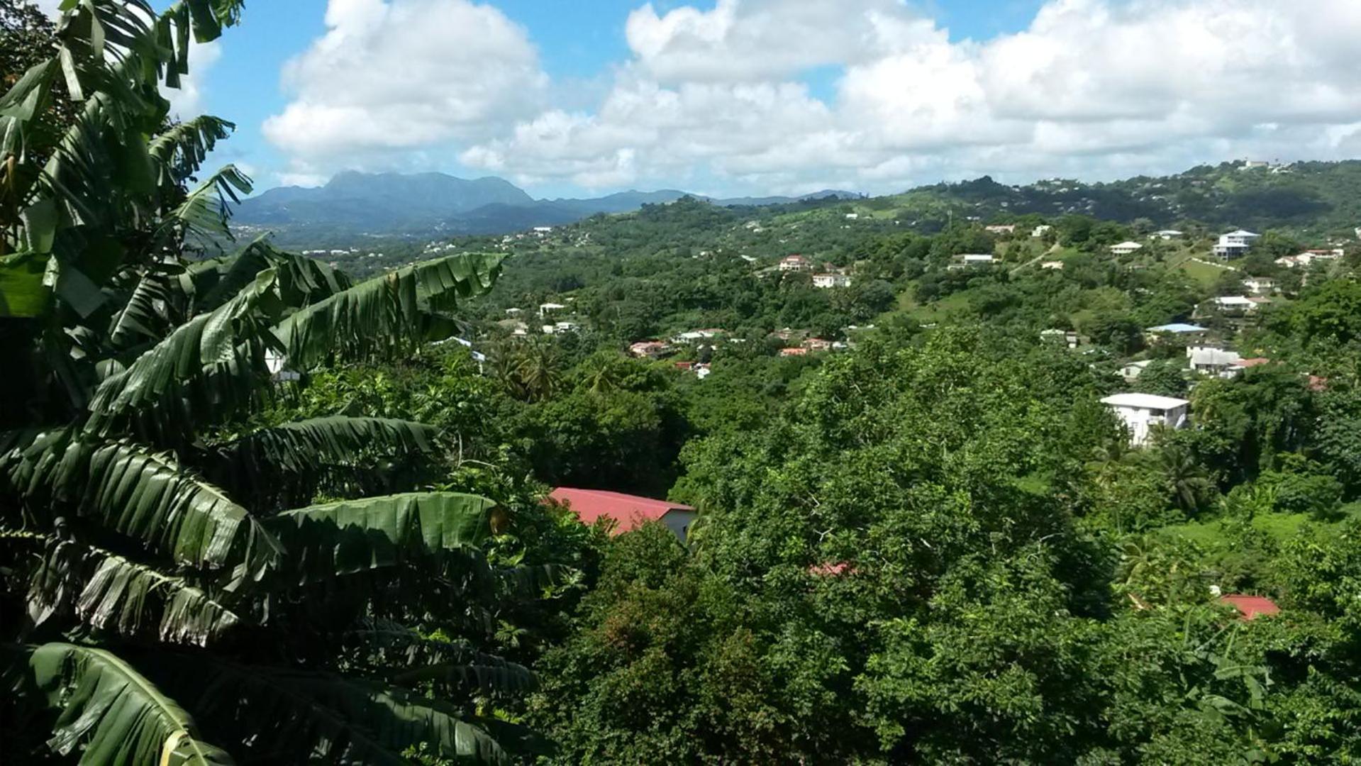 Studio BELO HORIZONTE, Grande terrasse avec vue sur les Pitons, imagen 2
