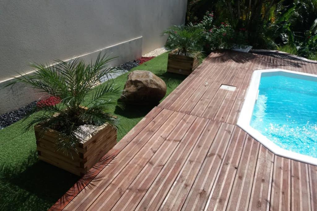 les orchidées, foto 15