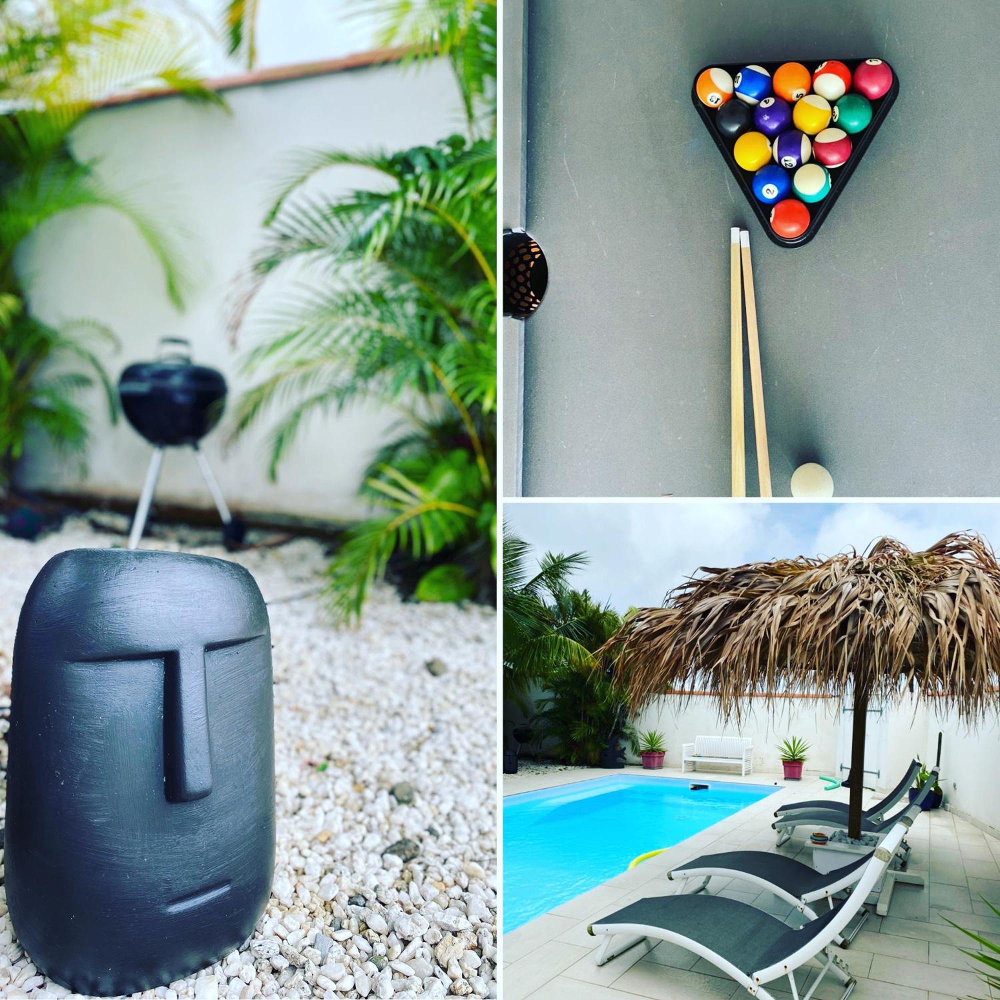 Canne à sucre Martinique, foto 16