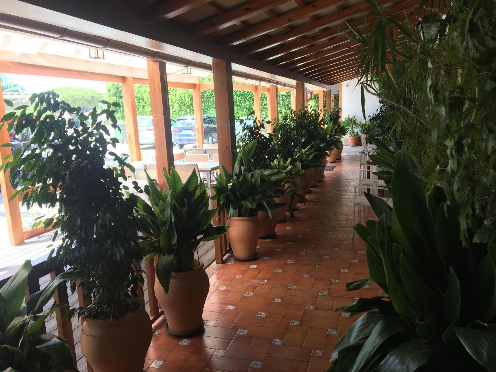 Hotel Antonio Conil — foto 4