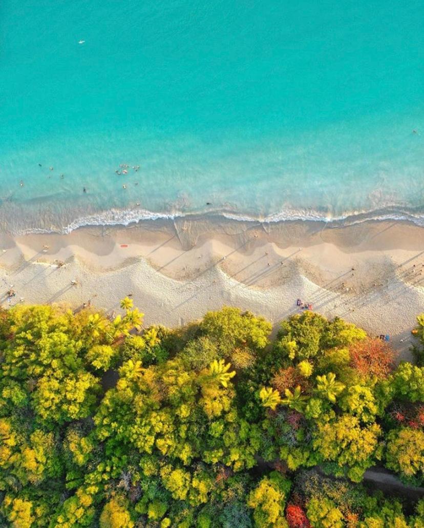 Studio Évasion plage avec jardin, foto 7